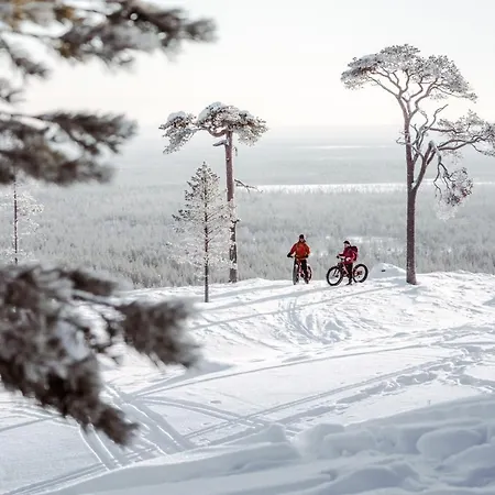 Ski-inn Pyhaesuites Daire *