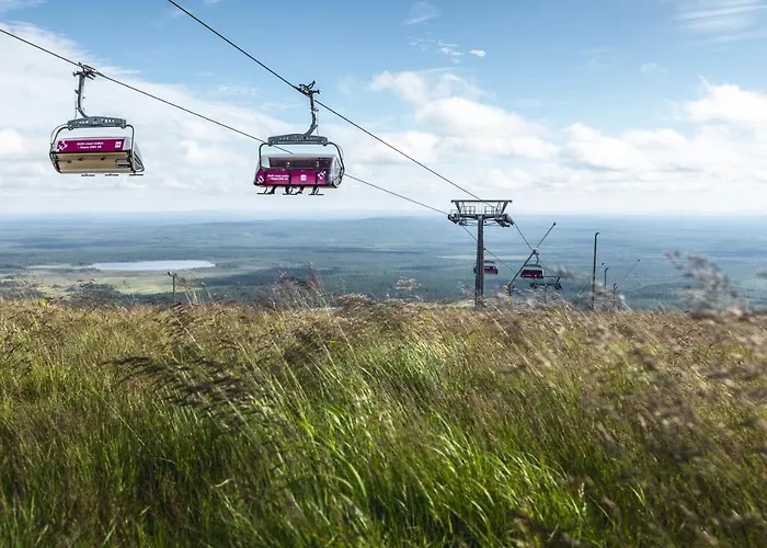 Ski-inn Pyhaesuites *